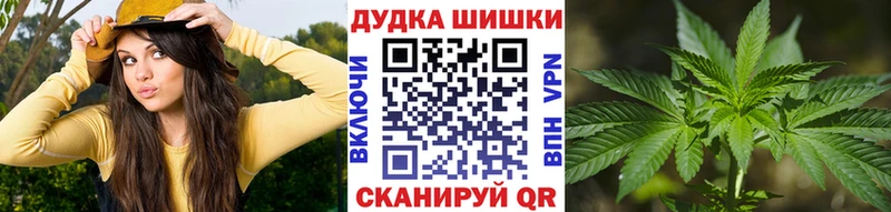 APVP Дно