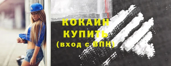 стаф Зерноград