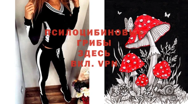 амф Зеленодольск