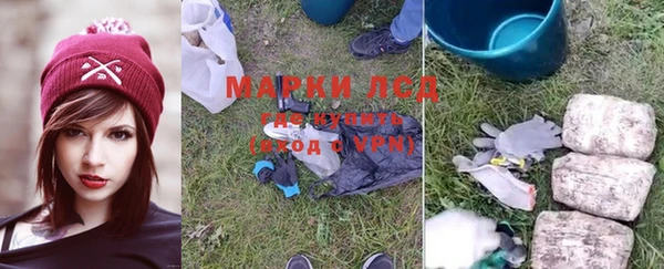 стаф Зерноград