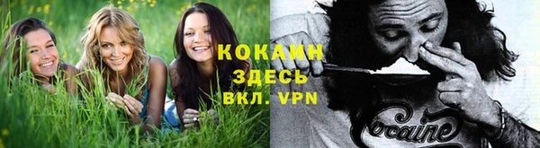 гидра Каменка